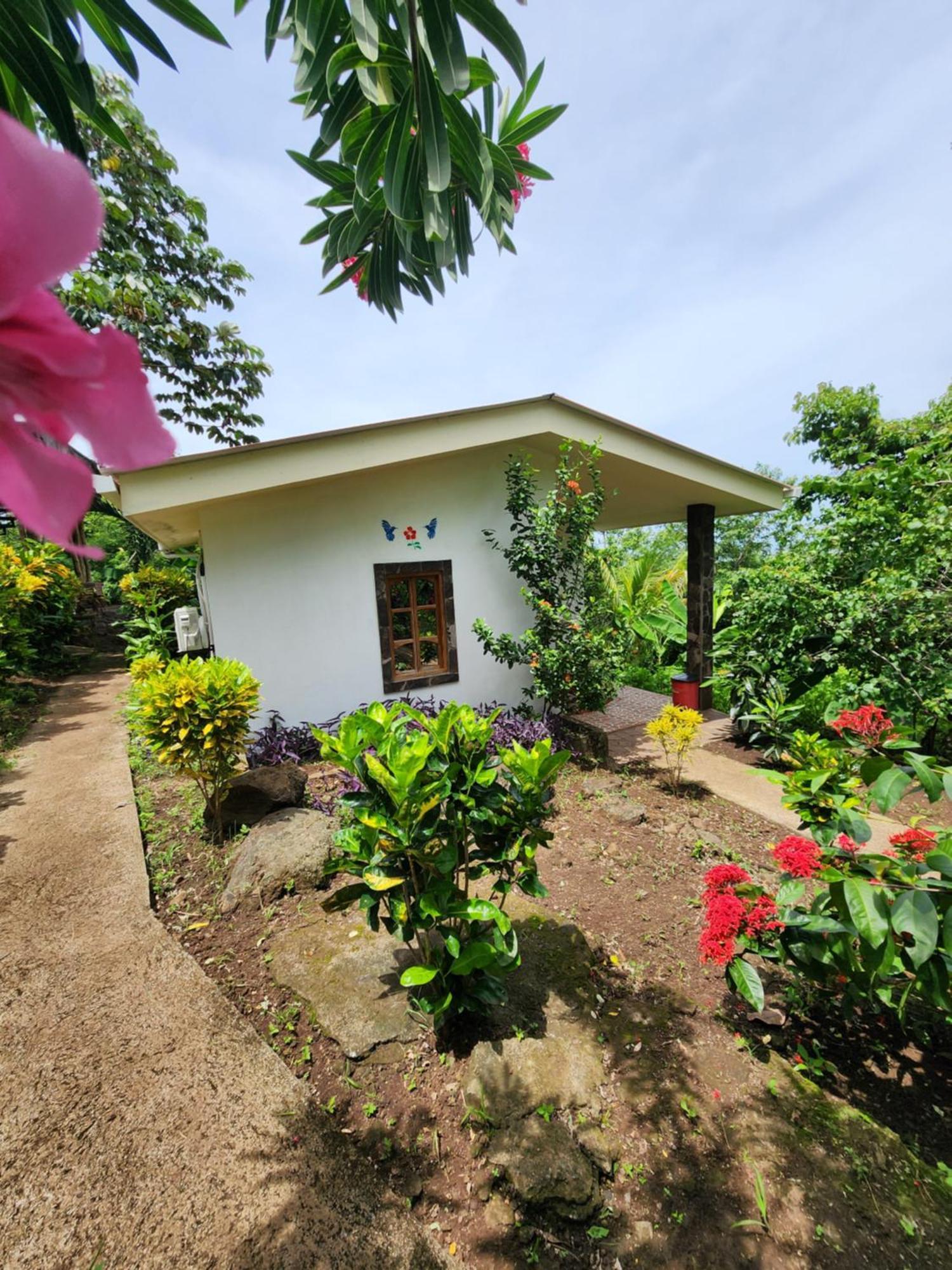 Villa The Jungle Mérida Exterior foto