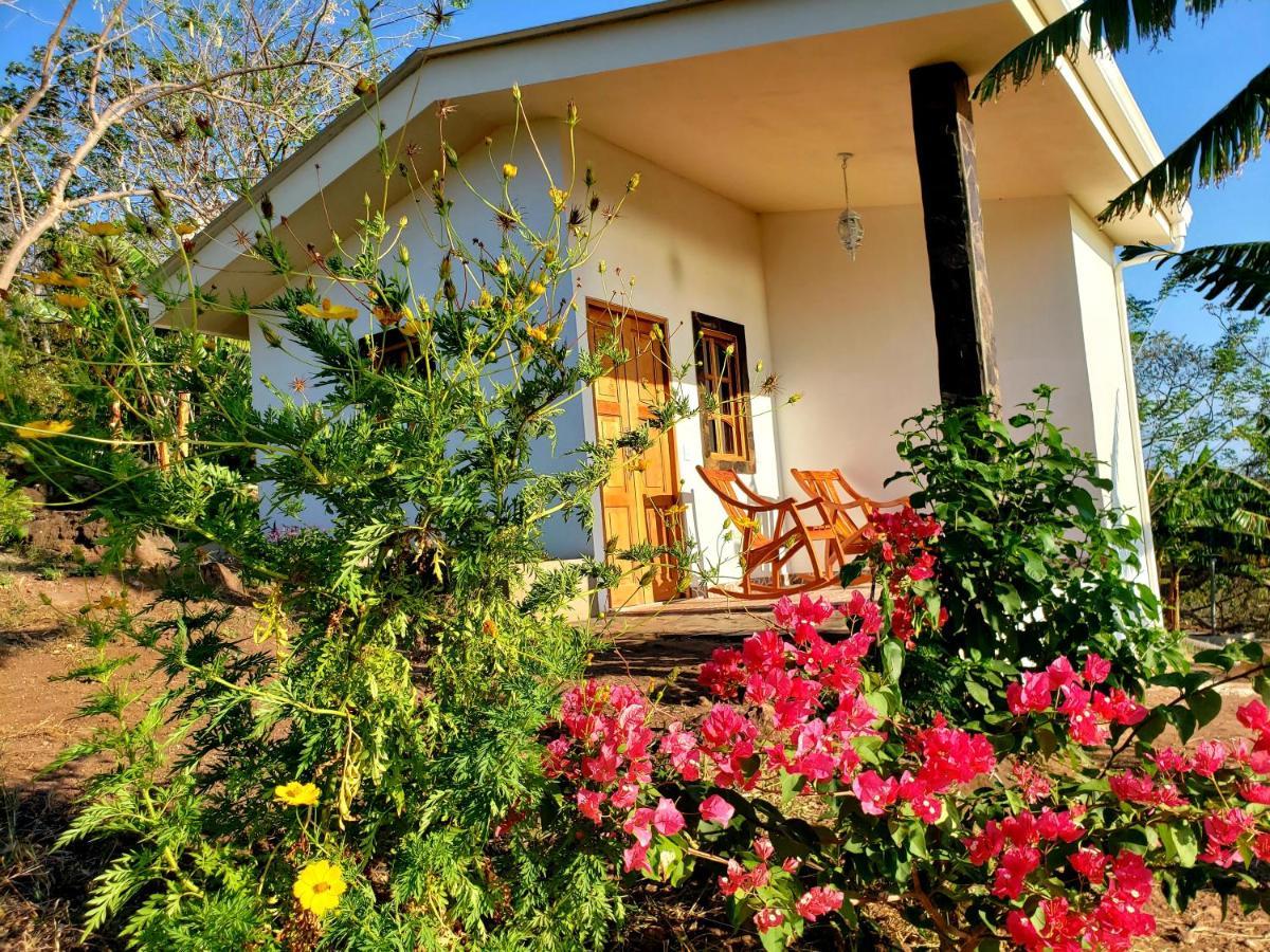 Villa The Jungle Mérida Exterior foto